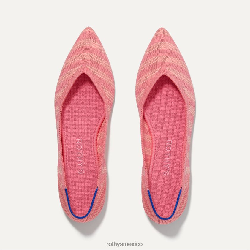 mujer Rothy's raya macarrón el punto zapato PVF0L029